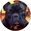 ABF profile picture