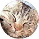 Sergio Herrera profile picture